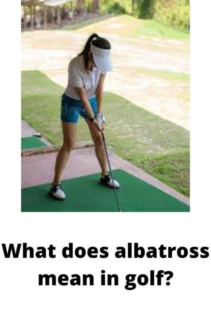 What does albatross mean in golf?