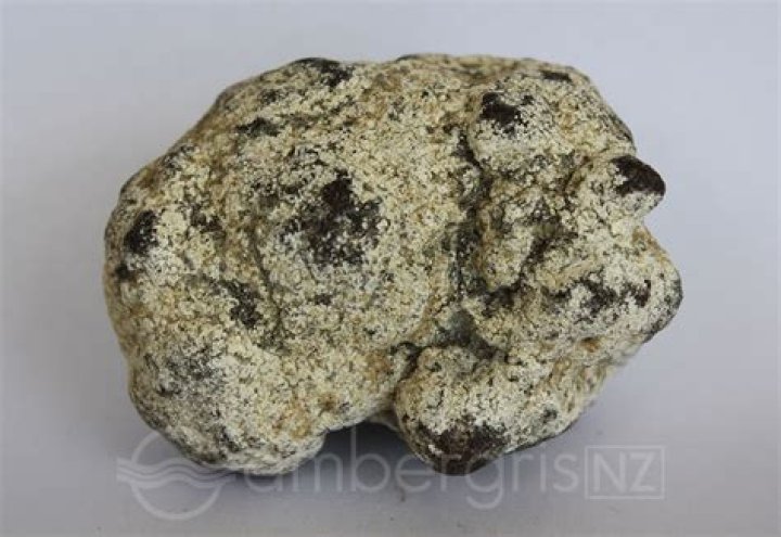 What does ambergris smell like?