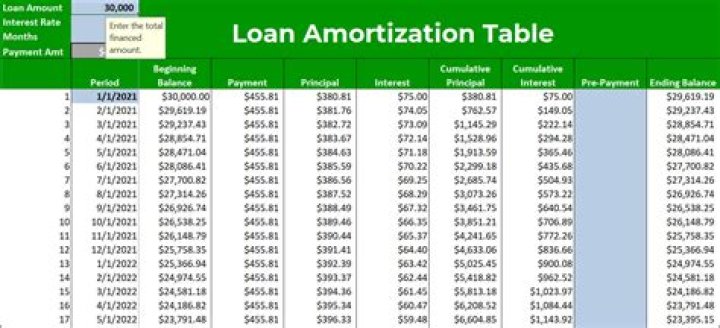What does an amortization table give you information about?