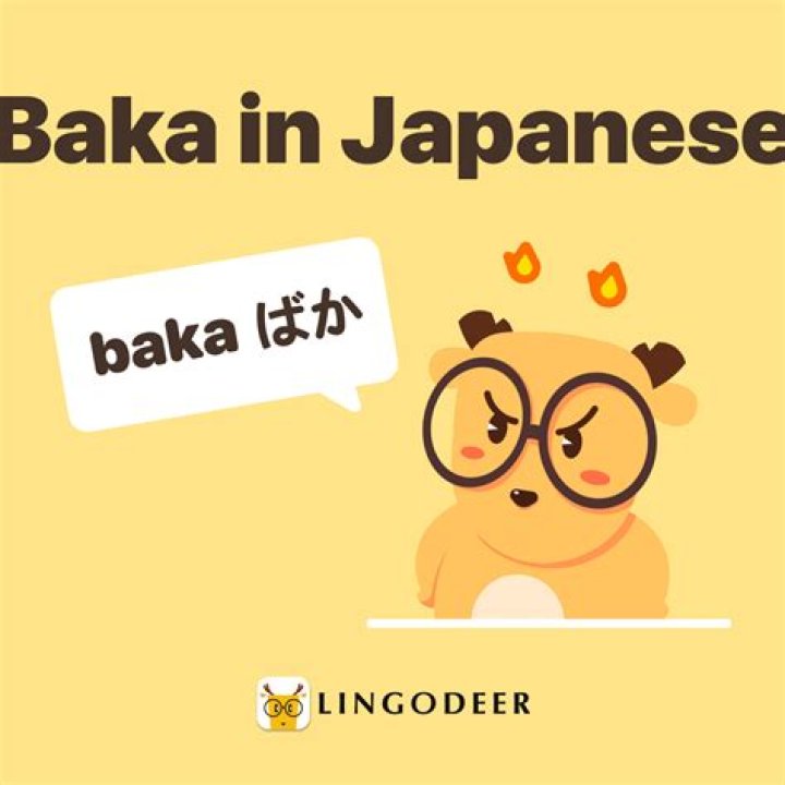 What does Baka mean in Spanish?
