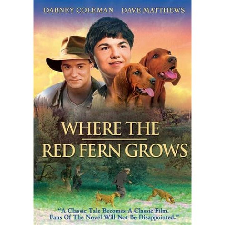 What does Billy do in Where the Red Fern Grows?