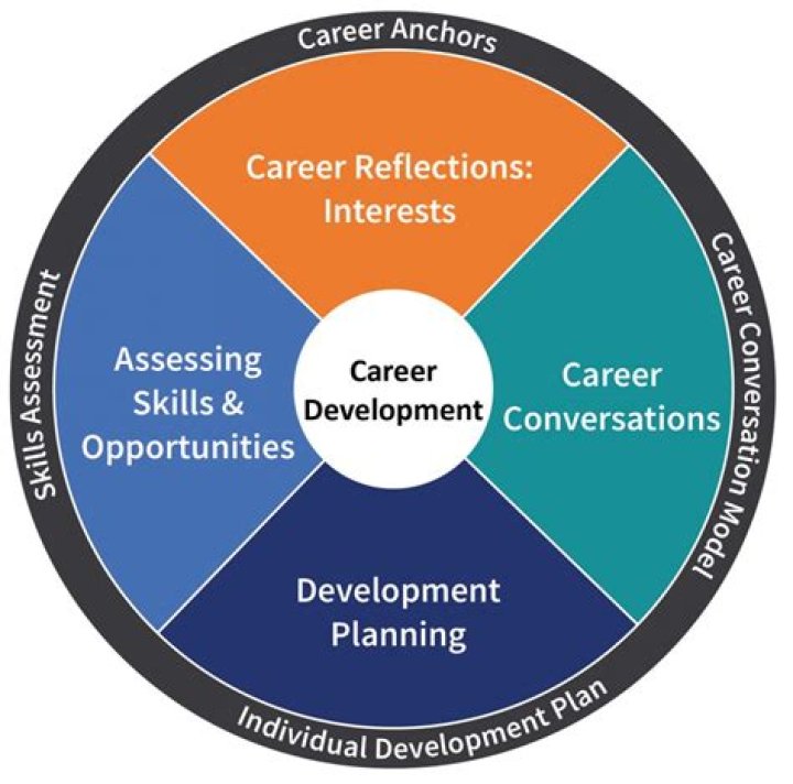 What does career management include?