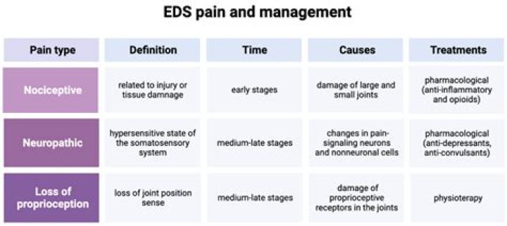 What does EDS mean in business?