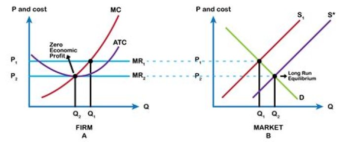 What does firm mean in economics?