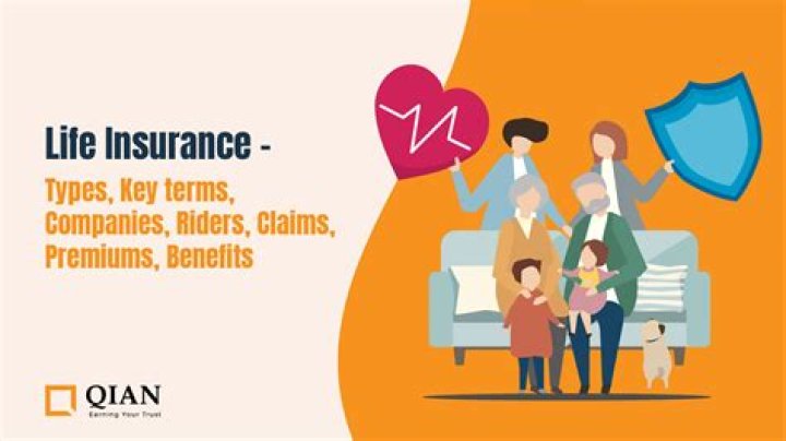 What does flex life insurance mean?