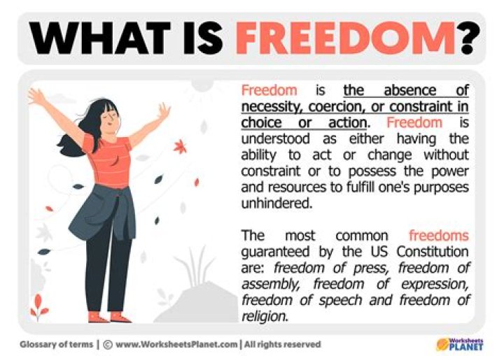 What does freedom opinion mean?