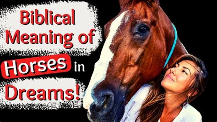 What does full loan a horse mean?