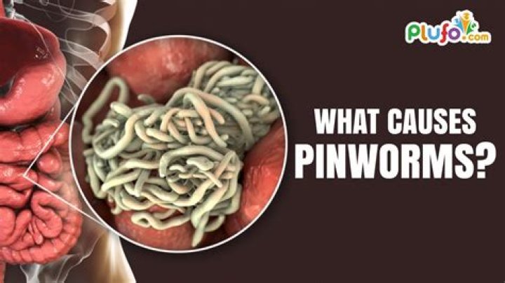 What does having pinworms feel like?