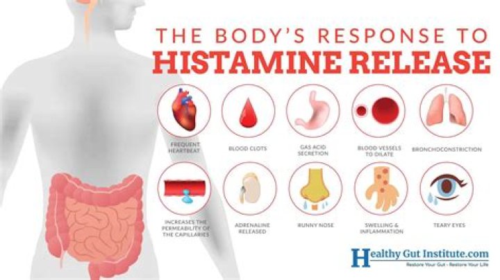 What does histamine do to the body?