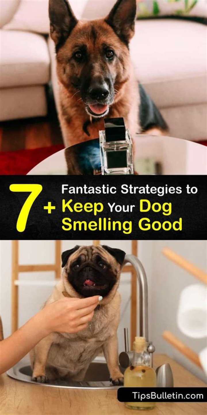 What does PetSmart use to make dogs smell good?