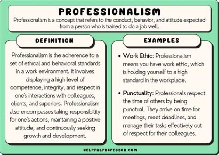 What does professional work mean?