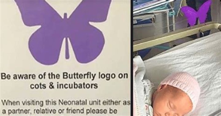 What does purple butterfly in NICU mean?