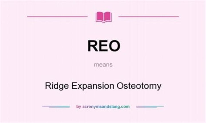 What does REO stand for?