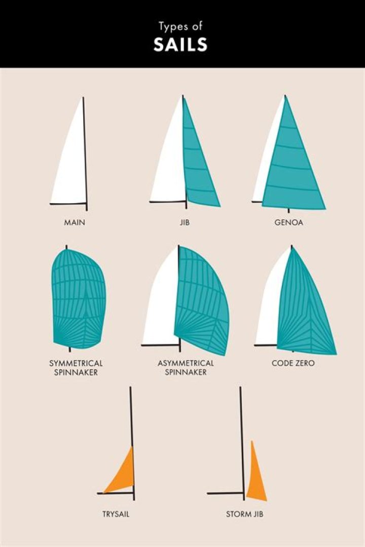 What does the company SAIL do?