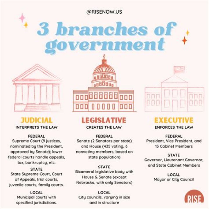 What does the government provide to schools?