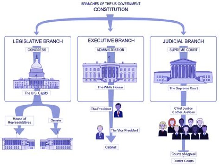 What does the President do in the legislative branch?