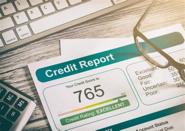 What does too many inquiries on credit report mean?