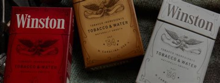 What does Winston's ulcer symbolize?