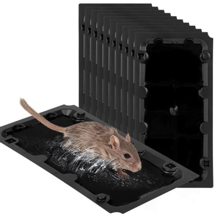 What energy does a mouse trap car use?