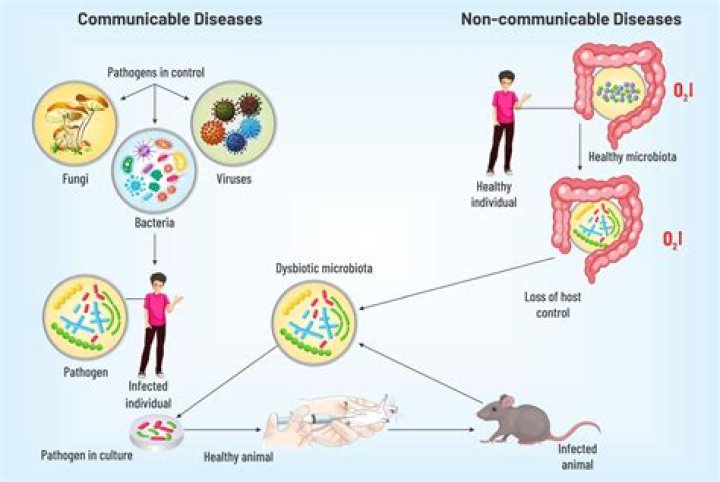 What factors are needed for communicable illness to spread?