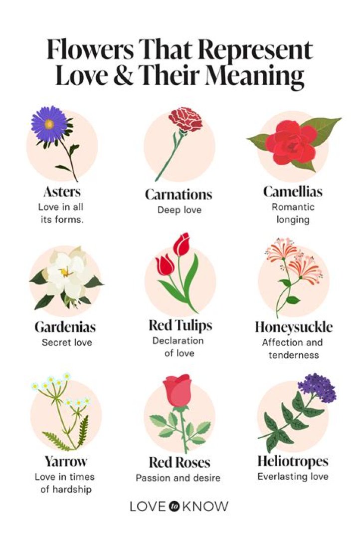 What flower represents a mother's love?