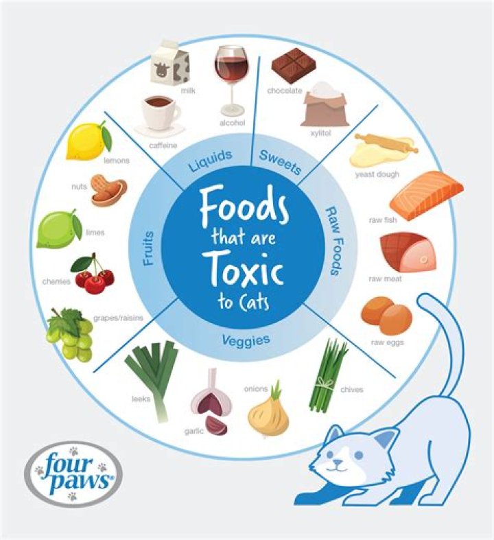 What foods can make you test positive for alcohol?