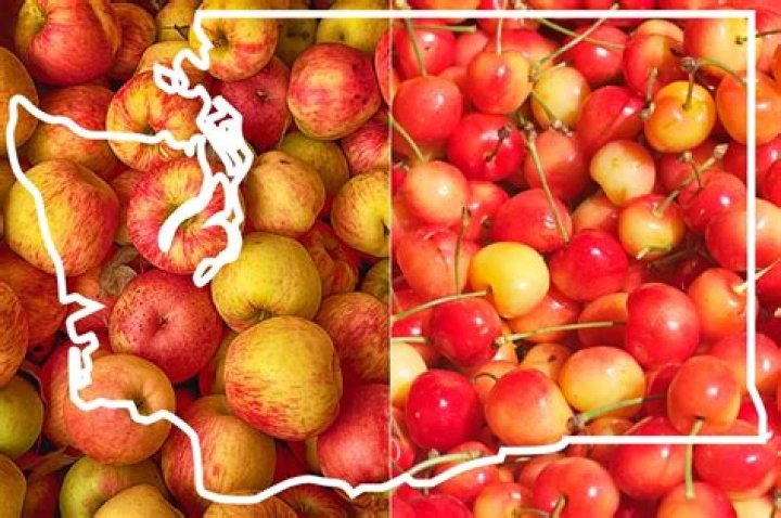 What fruit is Washington state known for?