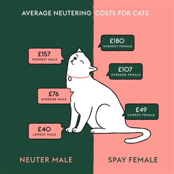 What happens if I don't neuter my male cat?