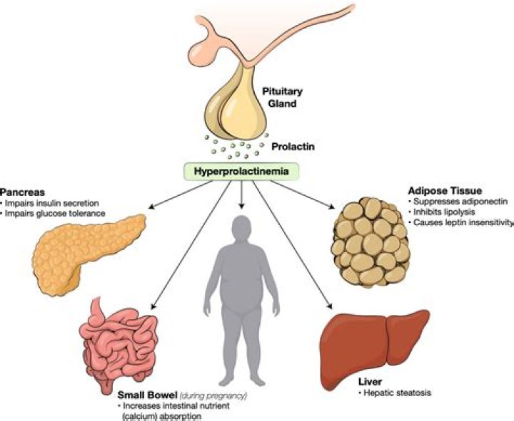 What happens if prolactinoma goes untreated?