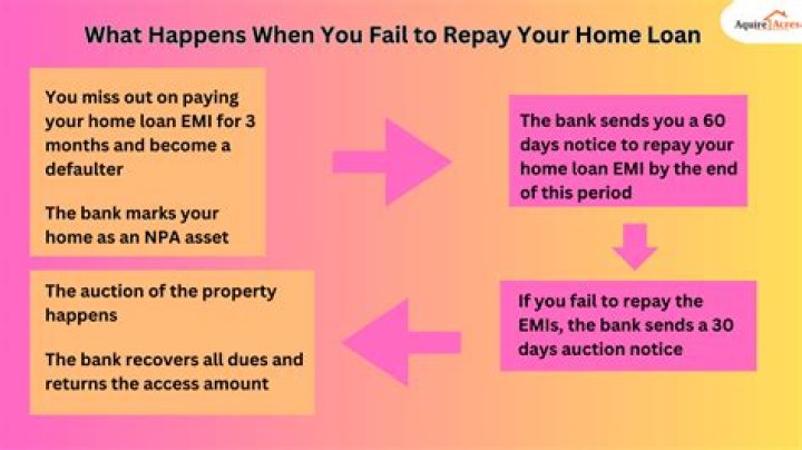 What happens if someone fail to repay a loan?