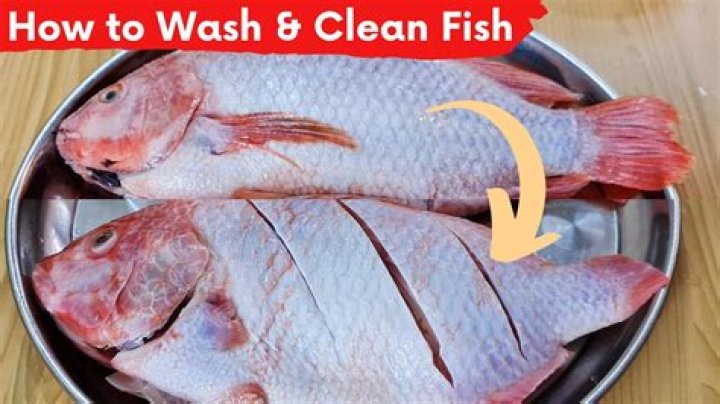 What happens if you don't Rinse fish gravel?