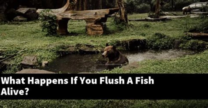 What happens if you flush a fish alive?