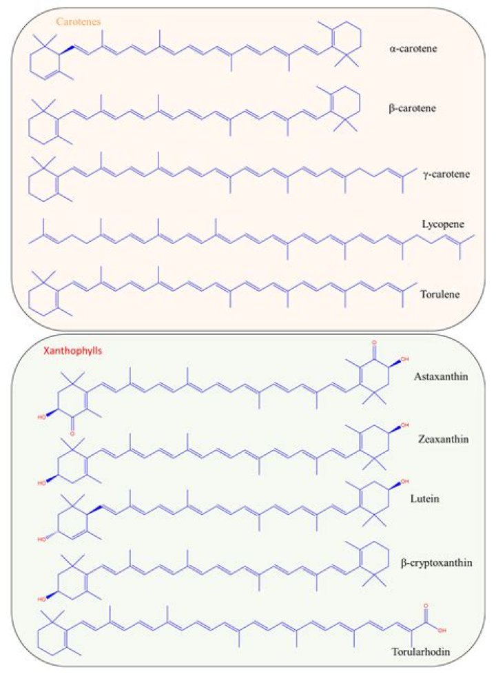 What happens to Rose's mom in Titanic?