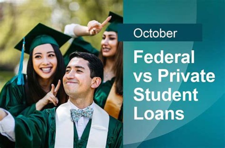 What happens when a private student loan goes into default?