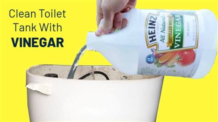 What happens when you pour vinegar in your toilet?