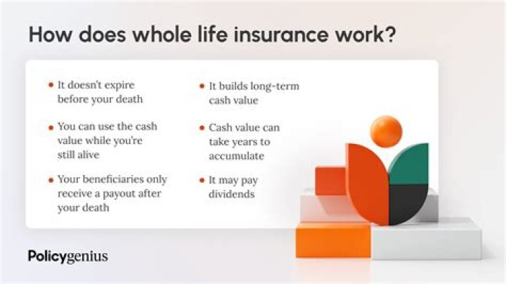 What happens when you take out a life insurance policy?