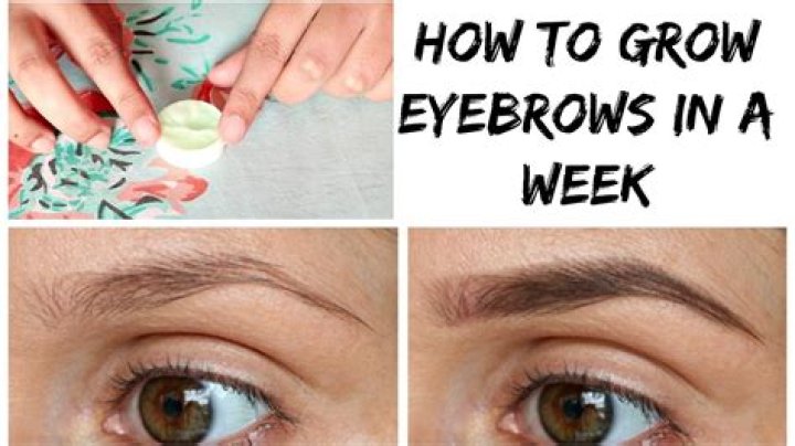 What helps eyebrows grow back?