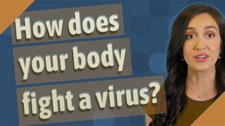 What helps your body fight a virus?