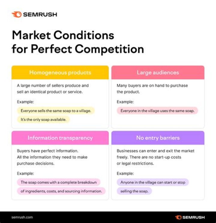 What idea is inconsistent with perfect competition?