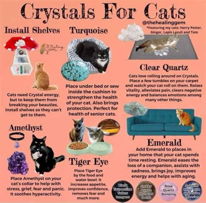 What ingredient causes crystals in cats?