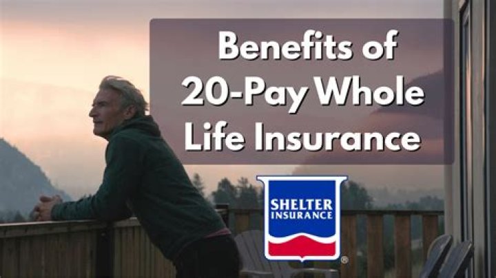 What is a 20 pay whole life policy?