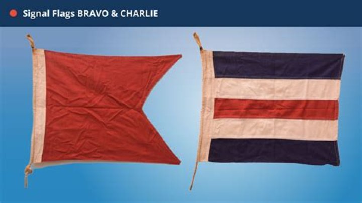 What is a Bravo flag?