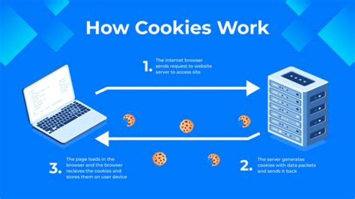 What is a cookie on a computer?