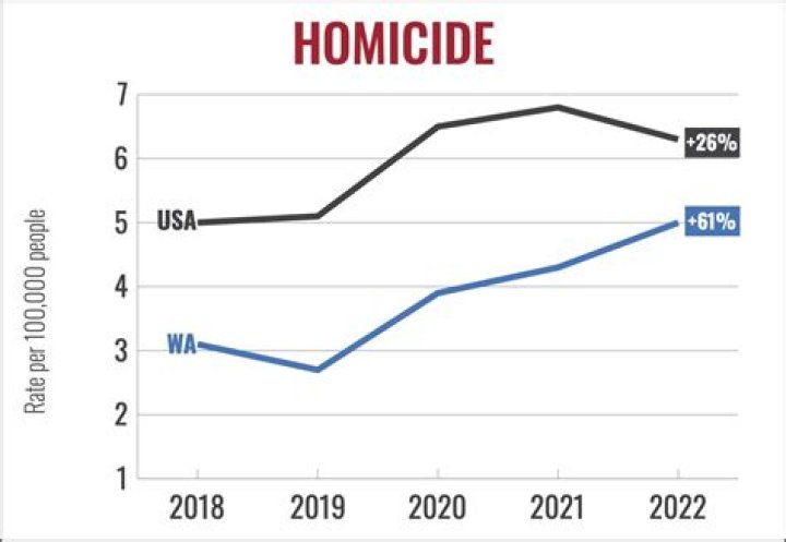 What is a domestic homicide?
