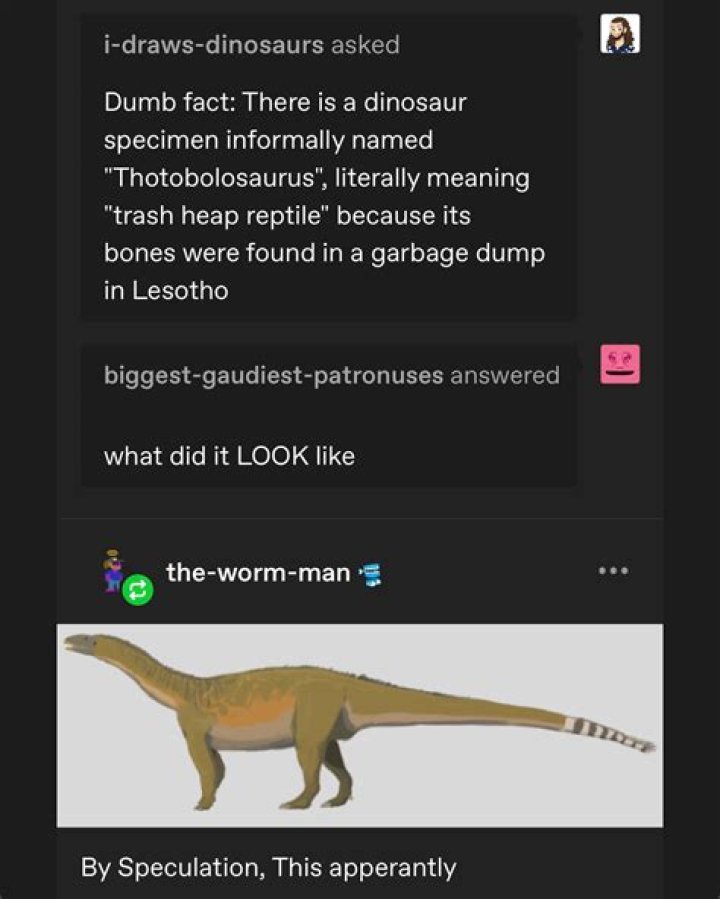 What is a dumb fact?