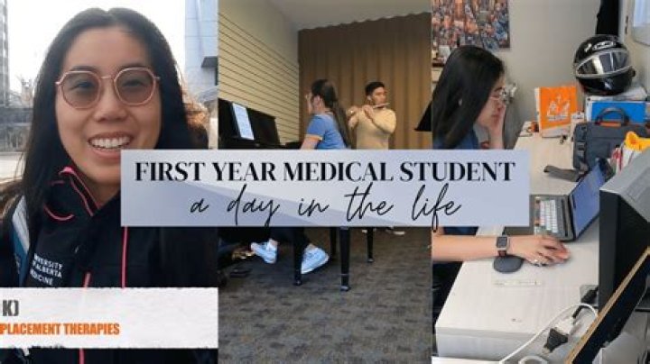 What is a first year medical student called?