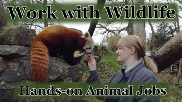 What is a job where you work with animals?