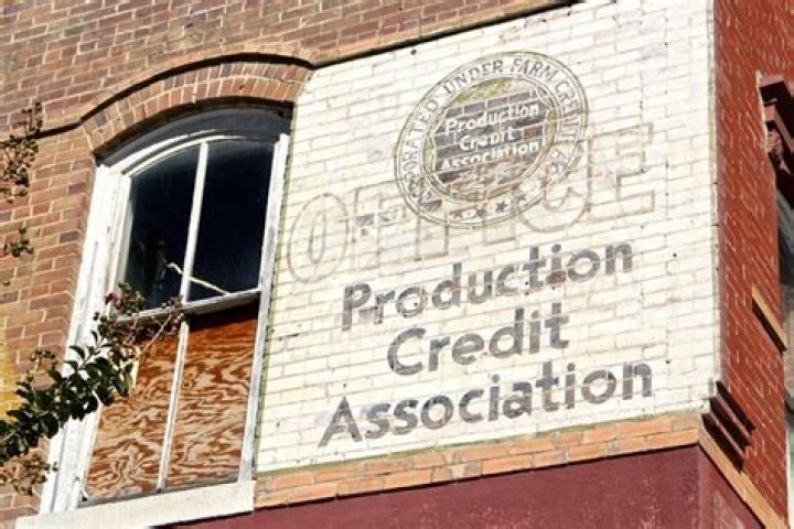 What is a production credit association?