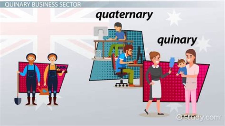What is a quinary job?