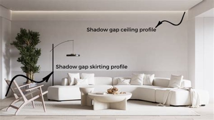 What is a shadow Loan?